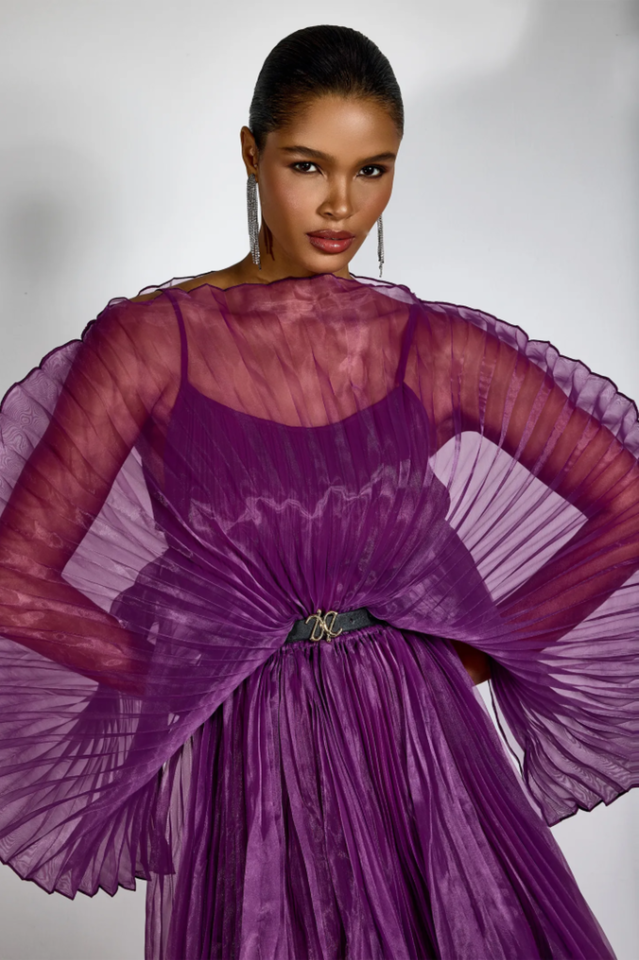 Amanda Semi-sheer Pleated Maxi Dress