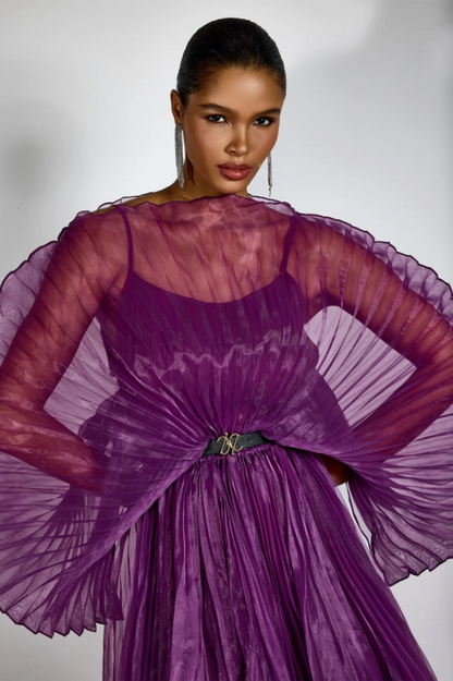 Amanda Semi-sheer Pleated Maxi Dress