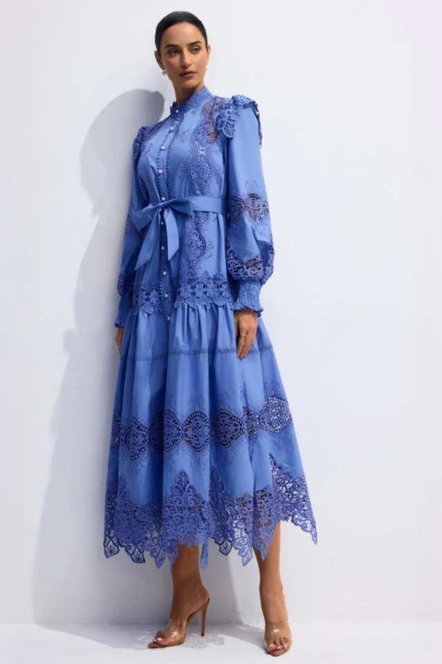 Alina Embroidered Lace Midi Dress