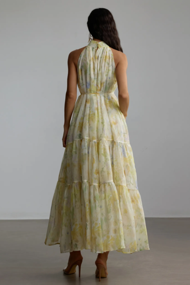 Fiona Floral Print Sleeveless Maxi Dress