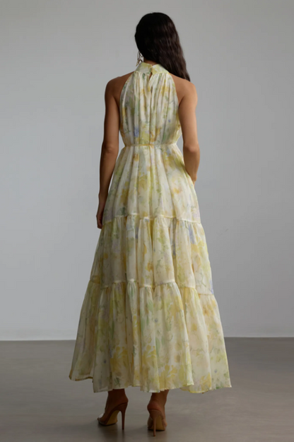 Fiona Floral Print Sleeveless Maxi Dress