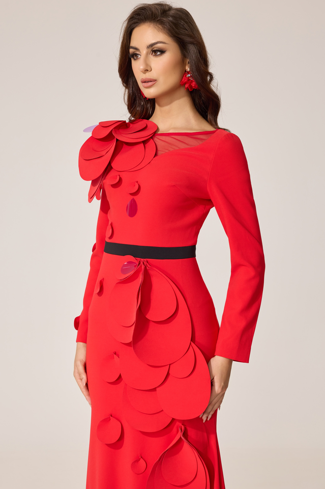 Farein Applique Detail Gown