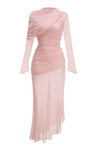 Glacian Long Sleeve Mesh Maxi Dress