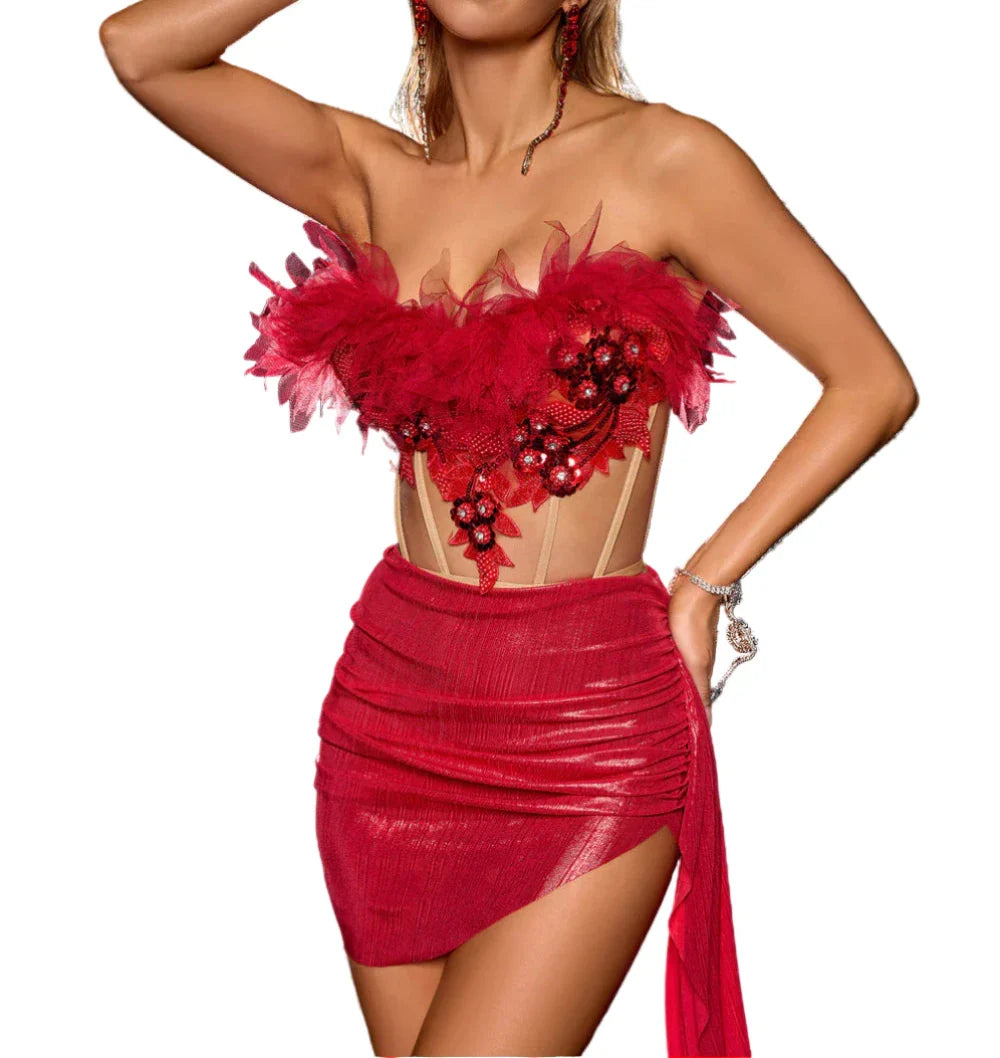 ROSA Red Mesh Bodycon Set