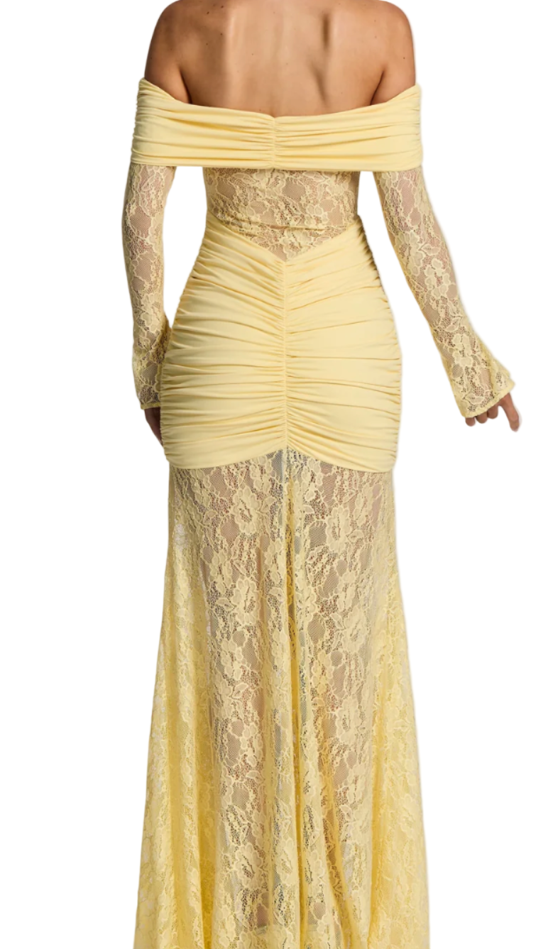 BIEL Lace Long Sleeve Maxi Bodycon Dress