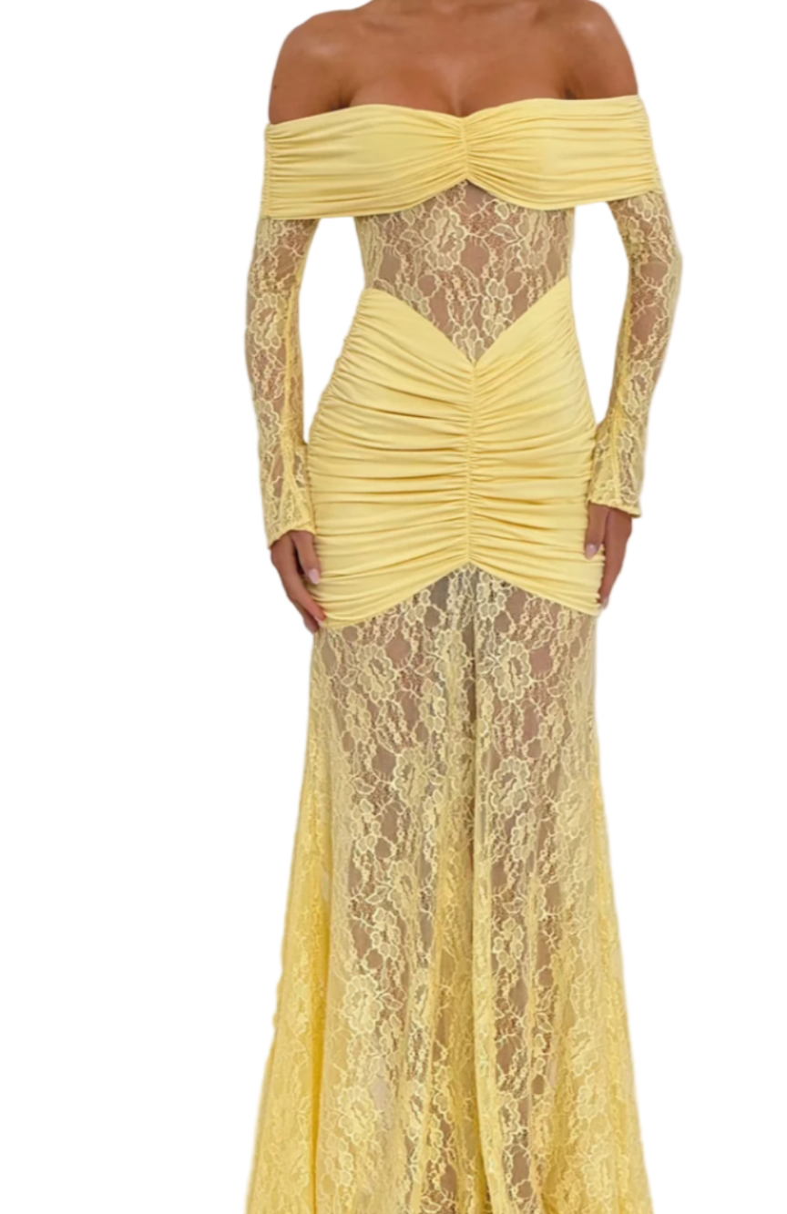 BIEL Lace Long Sleeve Maxi Bodycon Dress