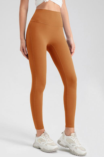 High Waist Highly Stretchy Active Pants