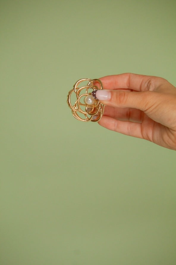 Beauty & the Beast Claw Clip