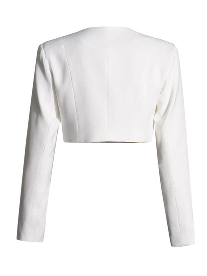 Long Sleeves Buttoned Solid Color Split-Joint Round-Neck Blazers Top + Zipper Wide Leg Mesh Pleated Pants Bottom Two Pieces Set