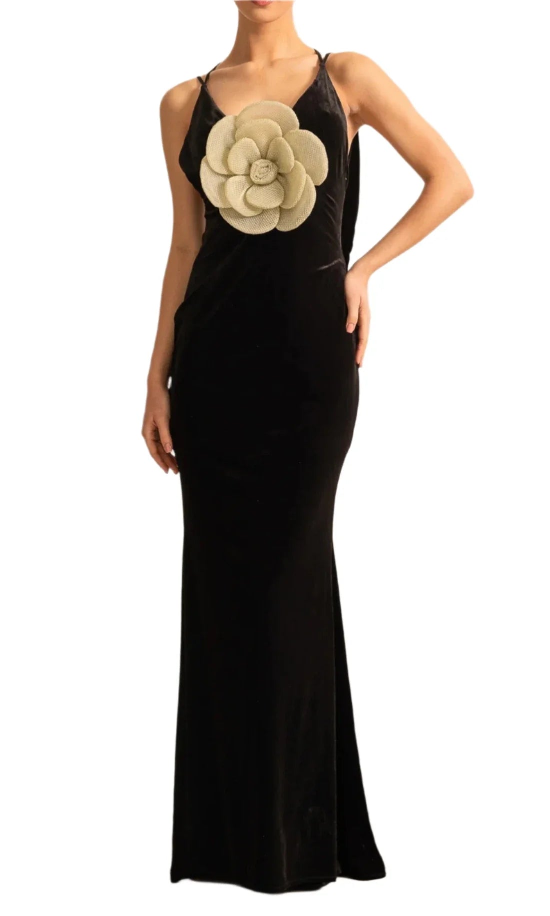 ZAIRA Big Flower Velvet Maxi Dress